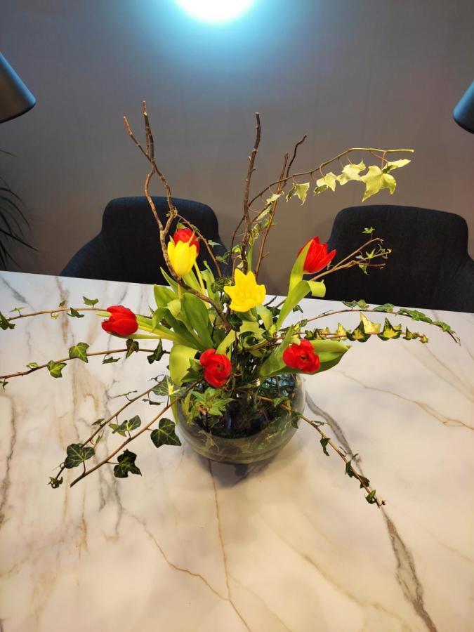 Nino Luxury Apartment Загреб Екстериор снимка